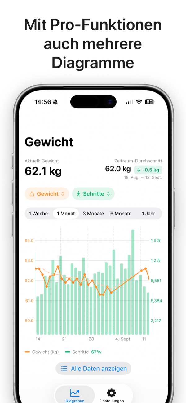 Zwei-Achsen-Diagramm mit Gewicht und Schritten