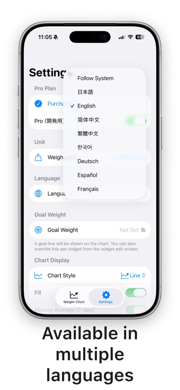 Menu for choosing the display language